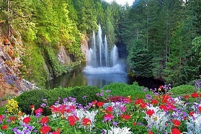 paisaje jigsaw puzzle