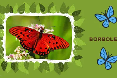 borboleta