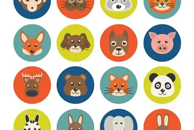 animales