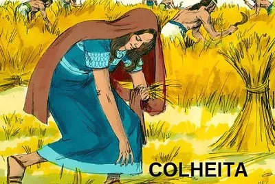 Rute Colheita jigsaw puzzle