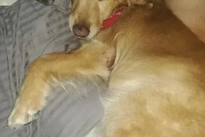Tobias