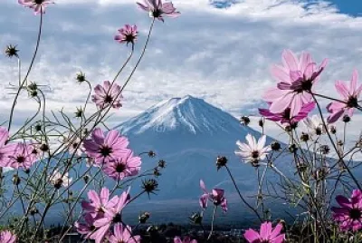 imagem jigsaw puzzle