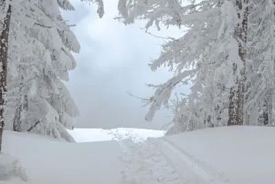 Inverno rigoroso jigsaw puzzle