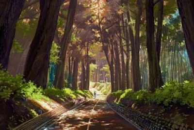 carretera en el bosque