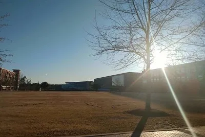 CAROLINA