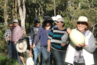 calabazas jigsaw puzzle