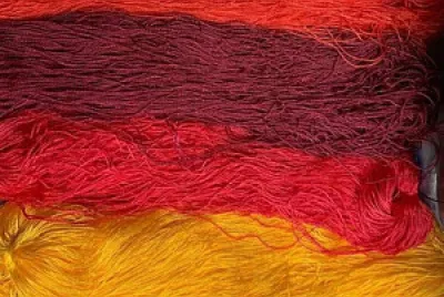 פאזל של color