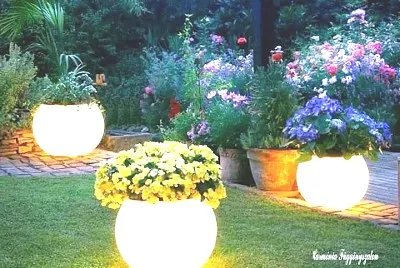 jardin