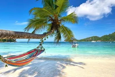 beach palm jigsaw puzzle
