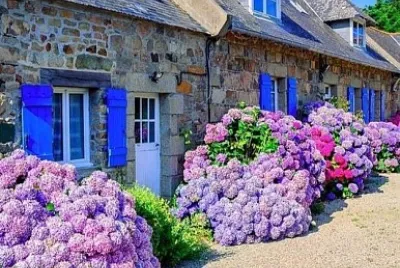 imagem jigsaw puzzle