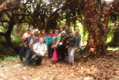 amigos jigsaw puzzle