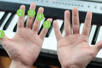 dedos piano jigsaw puzzle