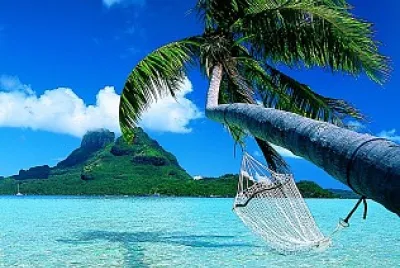 palm beach
