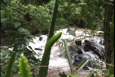 Naturaleza Valle de Bravo