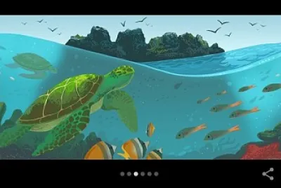 tortugas jigsaw puzzle