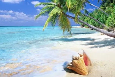 isla caracol