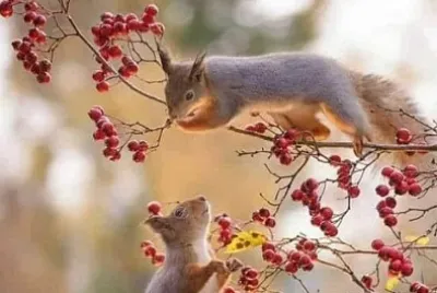 CENÃRIO K69 jigsaw puzzle