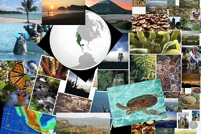 פאזל של Recursos naturales