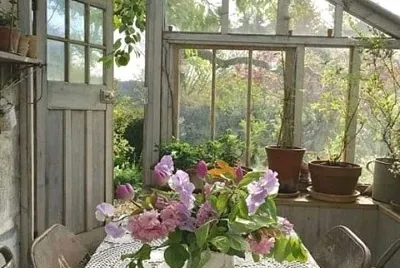 flores