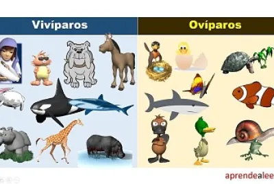 פאזל של OvÃ­paros