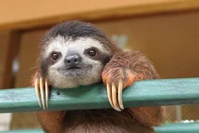 CENÃRIO K73 jigsaw puzzle