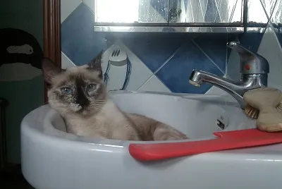 Maru 01