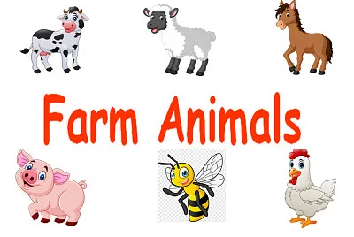 Farm Animals