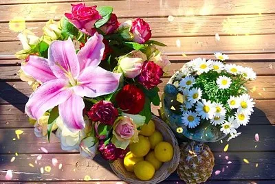 Mes fleurs de mes 89 ans