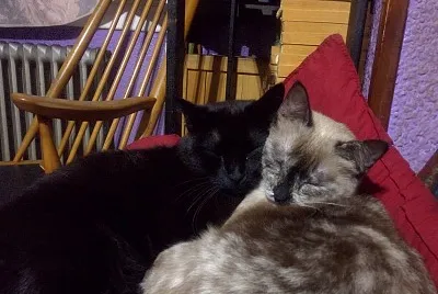 Durmiendo Juntos