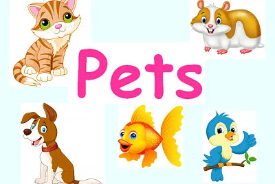 My Pets