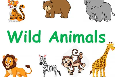 Wild Animals
