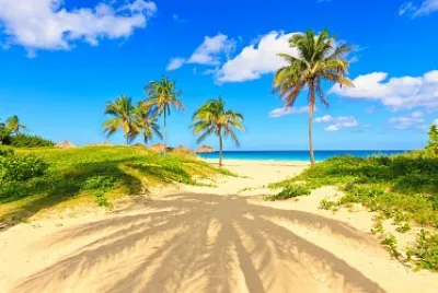 Ilha