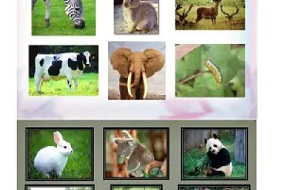 פאזל של animales