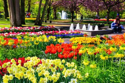 jardin fuente