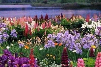 MontaÃ±as y VegetaciÃ³n jigsaw puzzle