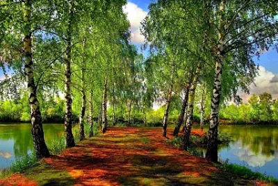 Autumn lake jigsaw puzzle