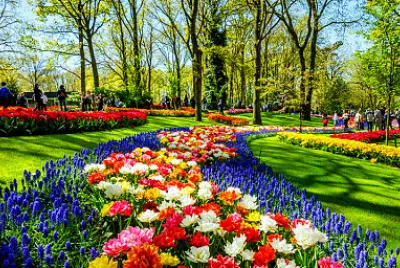 jardin color
