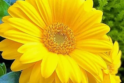 CENÃRIO K83 jigsaw puzzle