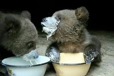 CENÃRIO K85 jigsaw puzzle