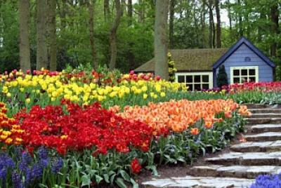 casa jardin jigsaw puzzle