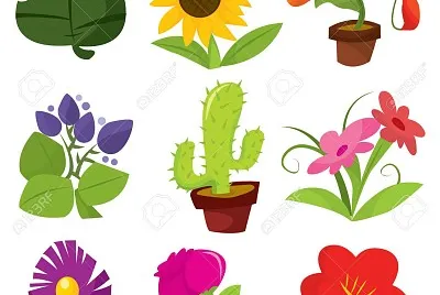 plantas jigsaw puzzle