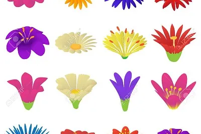 flores
