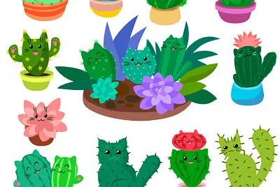 plantas