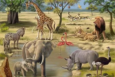 Wild Animals jigsaw puzzle