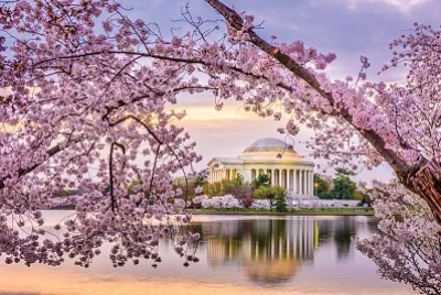 imagem jigsaw puzzle