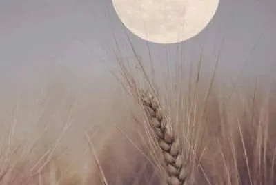 CENÃRIO K87 jigsaw puzzle