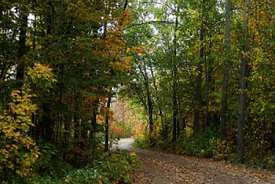 SENDERO