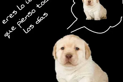 eres lo unico que pienso todos los dias