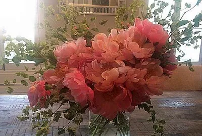 flores