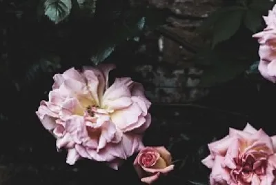 floreees jigsaw puzzle